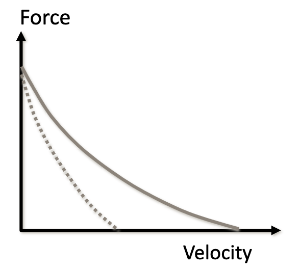 Which is fast twitch and which is slow