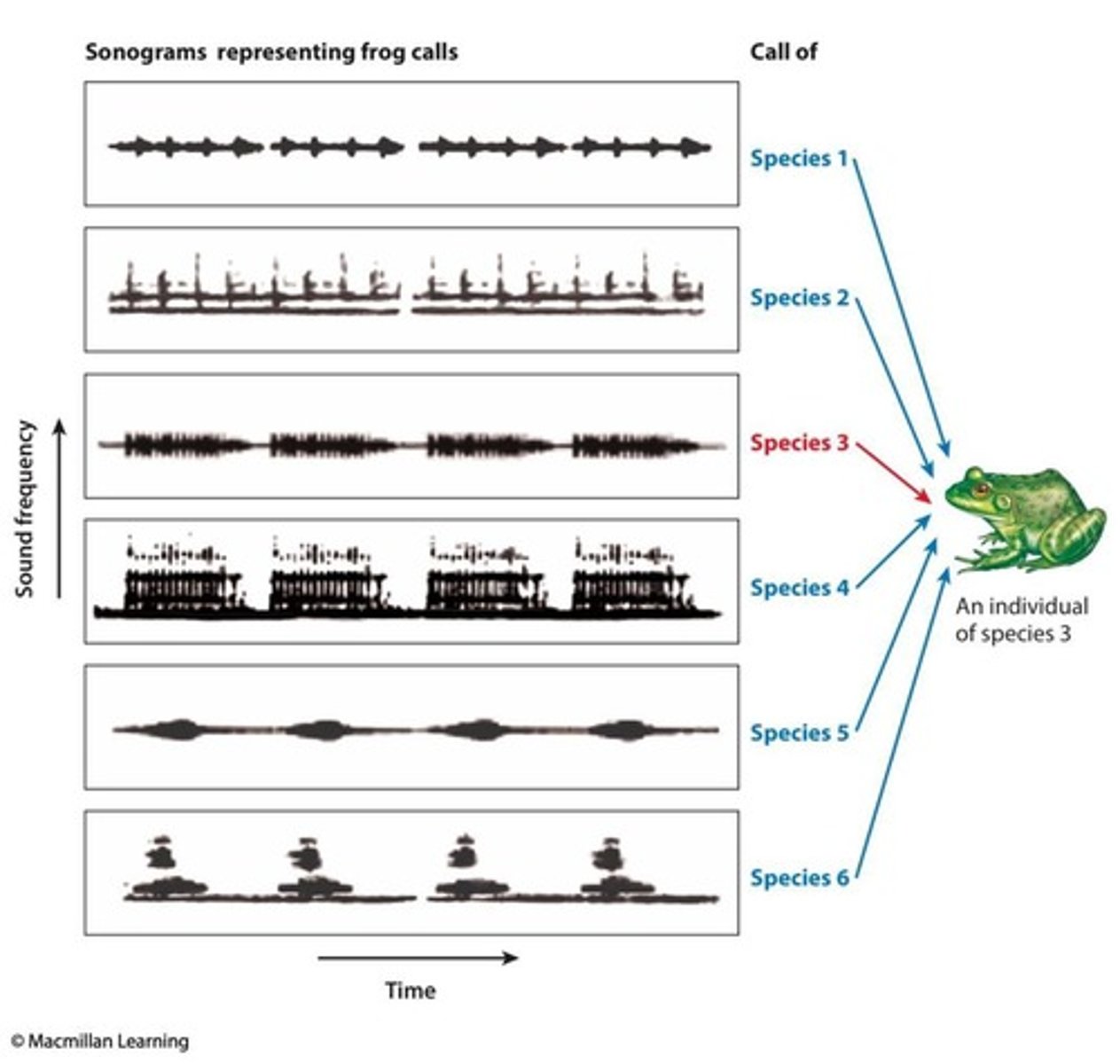 <p>It serves as a pre-zygotic isolating mechanism.</p>