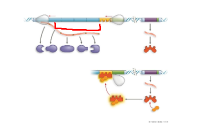 <p>What system + what structure</p>