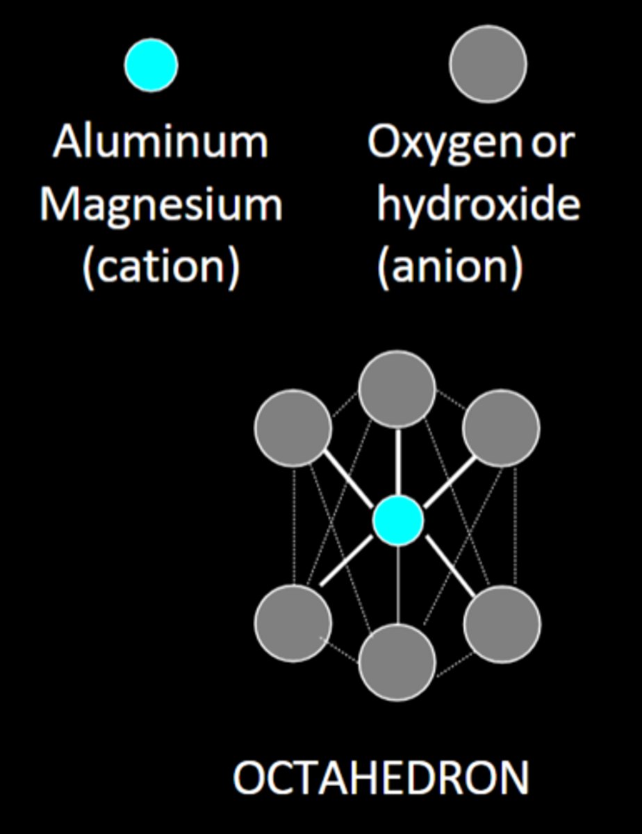 <p>An arrangement of 1 aluminum or magnesium cation surrounded by 6 oxygens or hydroxyls</p>