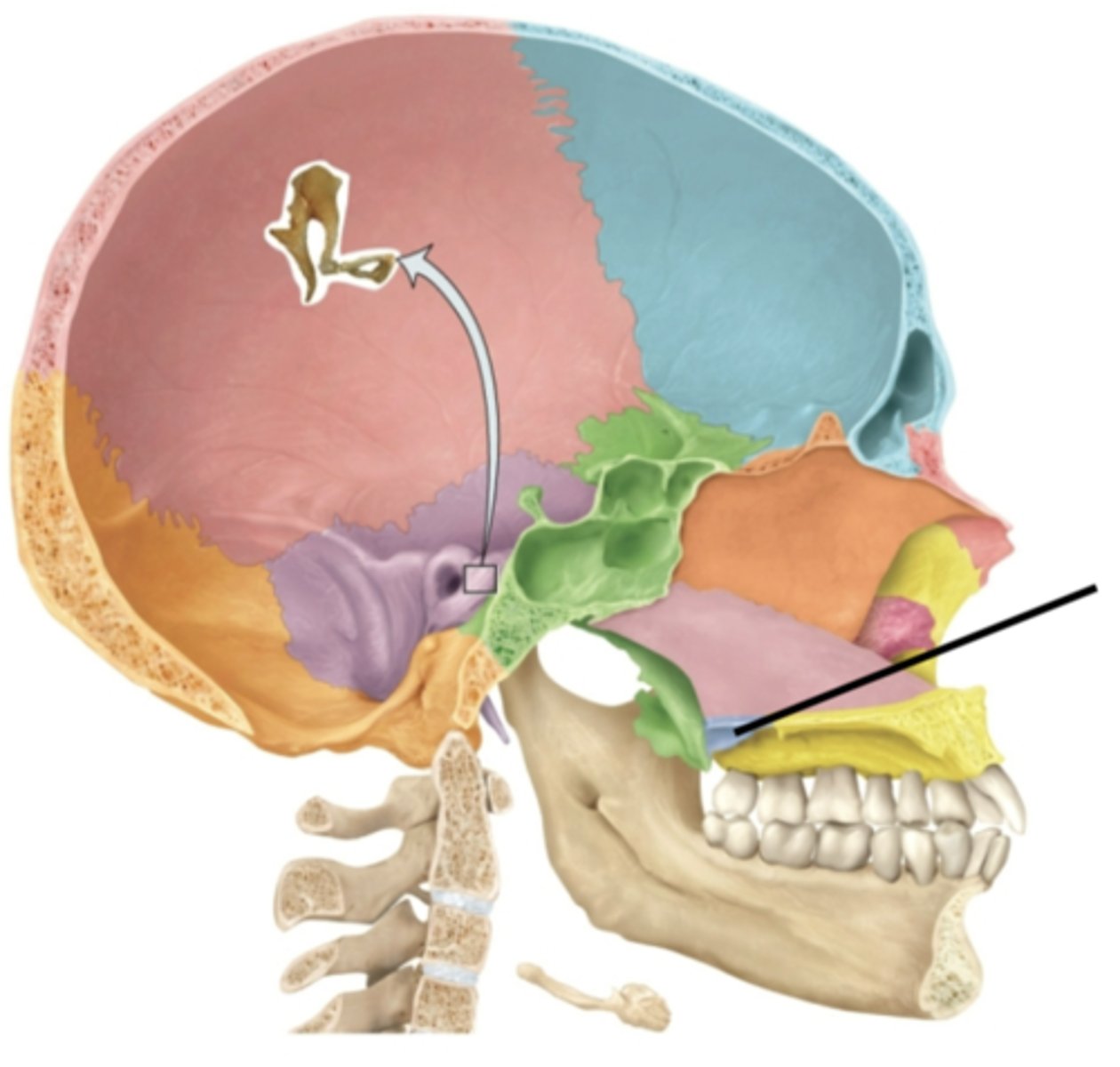 knowt flashcard image