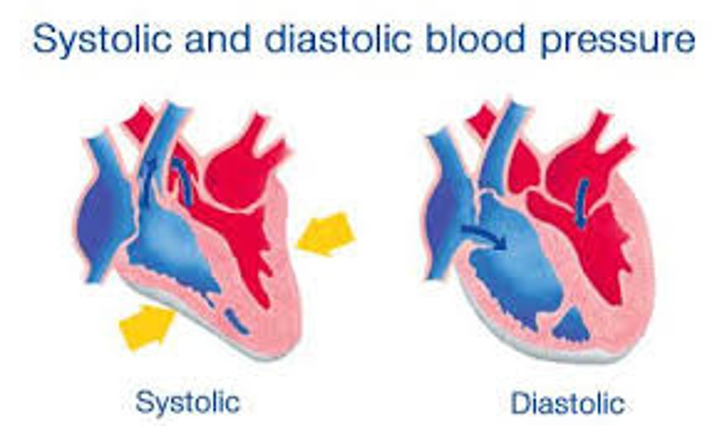 <p>Highest pressure in the artery during each heartbeat (ventricles contracting). About 120 mm Hg in a healthy adult.</p>