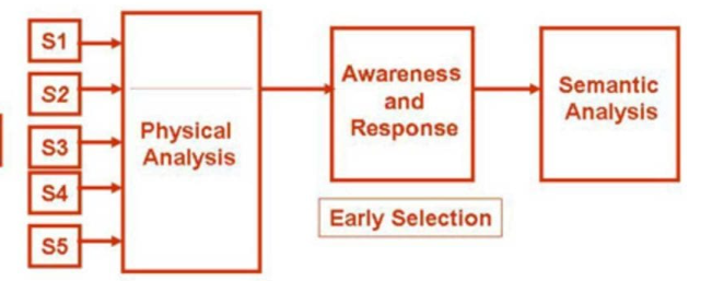 <p>Early Selection Theory</p>