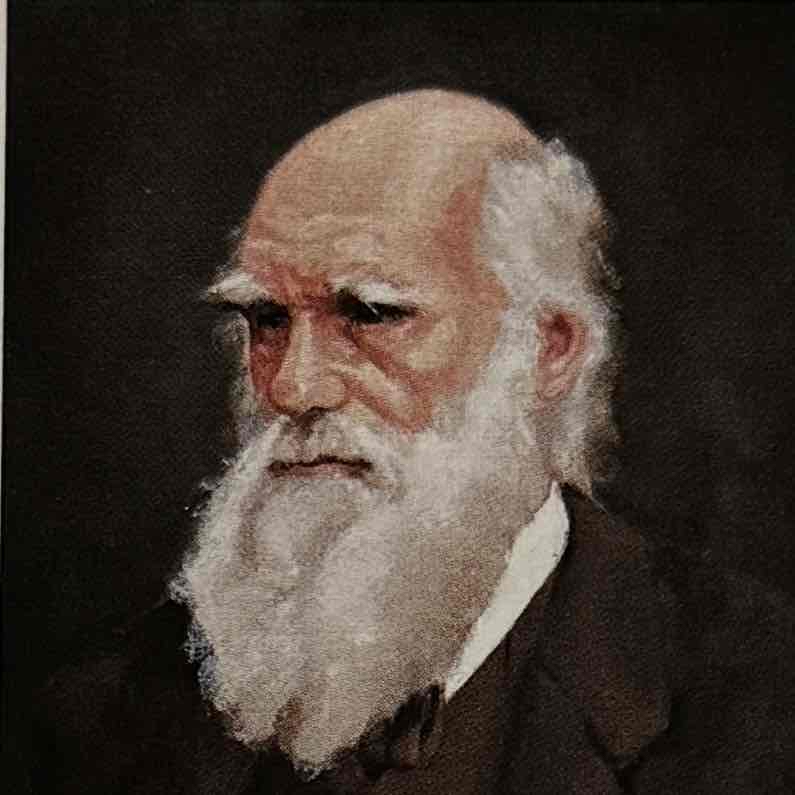 <p>Darwin argued that natural selection shapes behaviors as well as bodies.</p>
