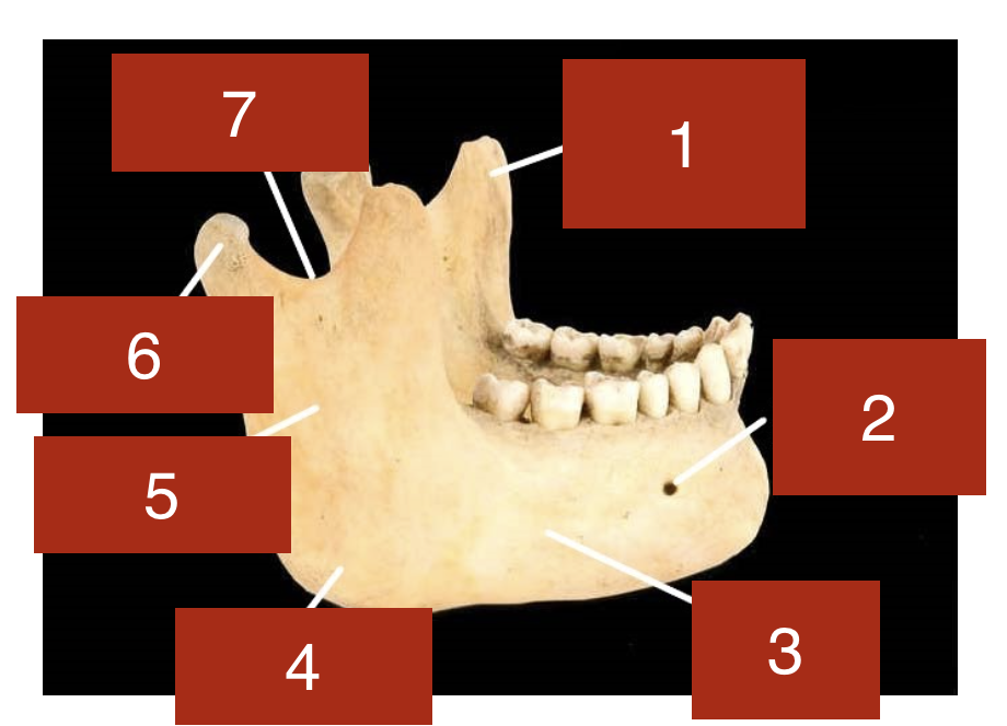 <p>6</p>