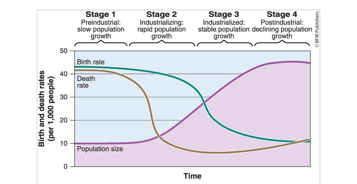 <p>A theory that states that a country moves from high to lower birth and death rates as development occurs and that country moves from a preindustrial to an industrialized economic system.</p>