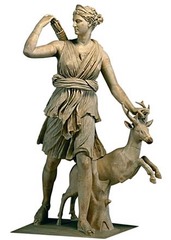 <p>Artemis: hunt, wild animals, childbirth</p>