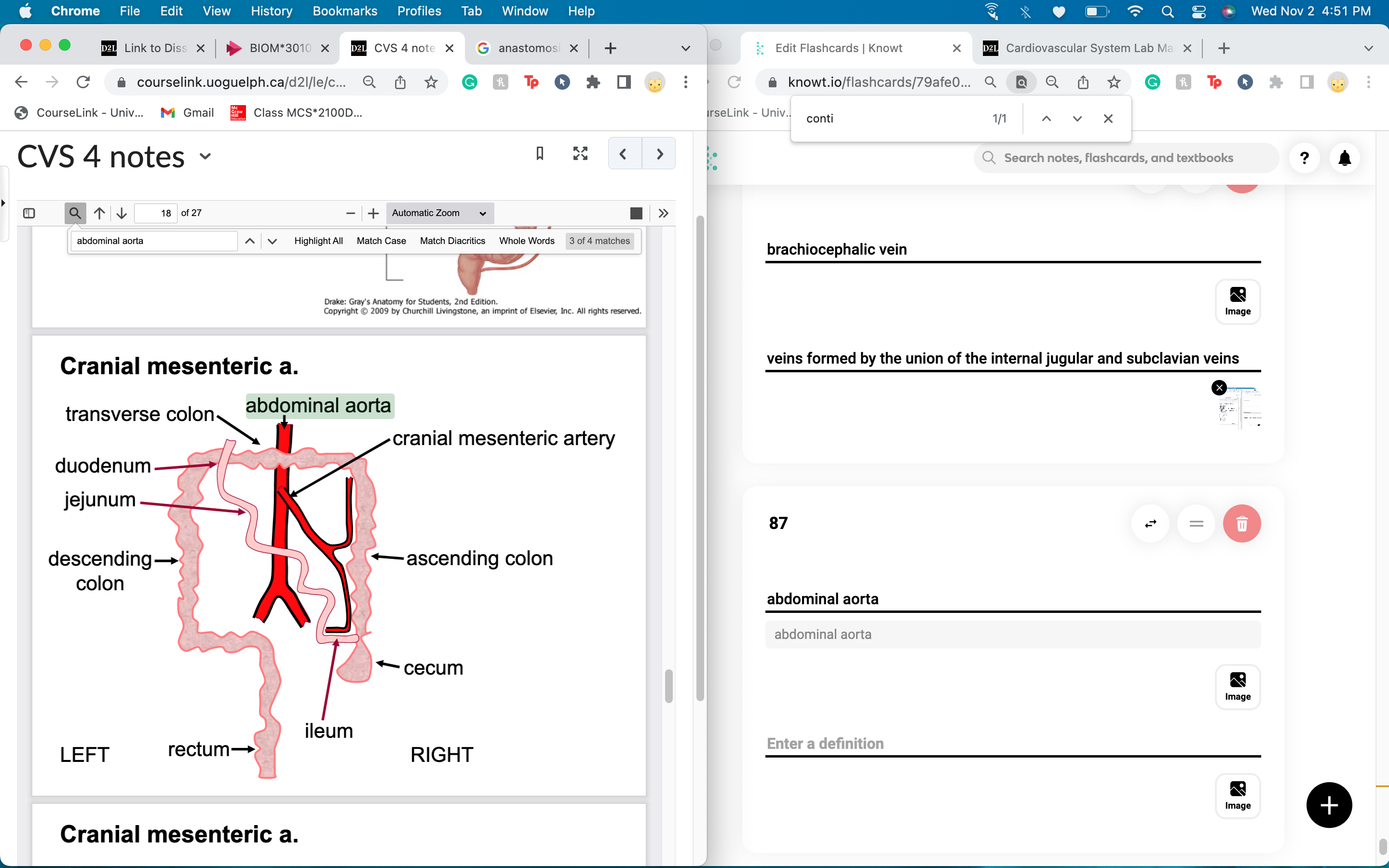 knowt flashcard image