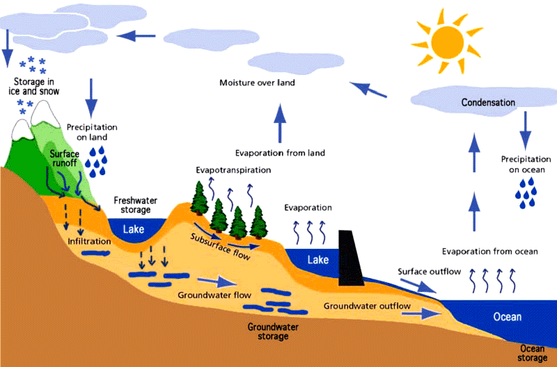 <p>note: percolation and infiltration the same thing</p>