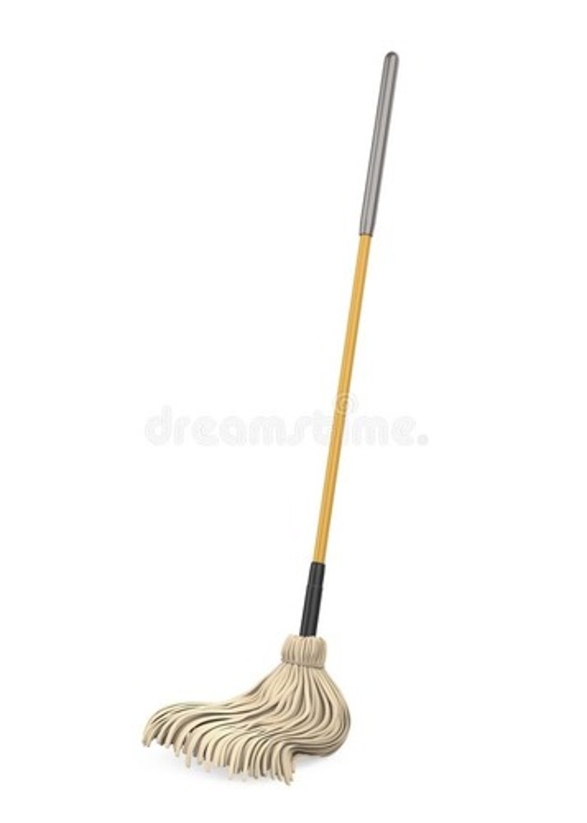 <p>mop</p>