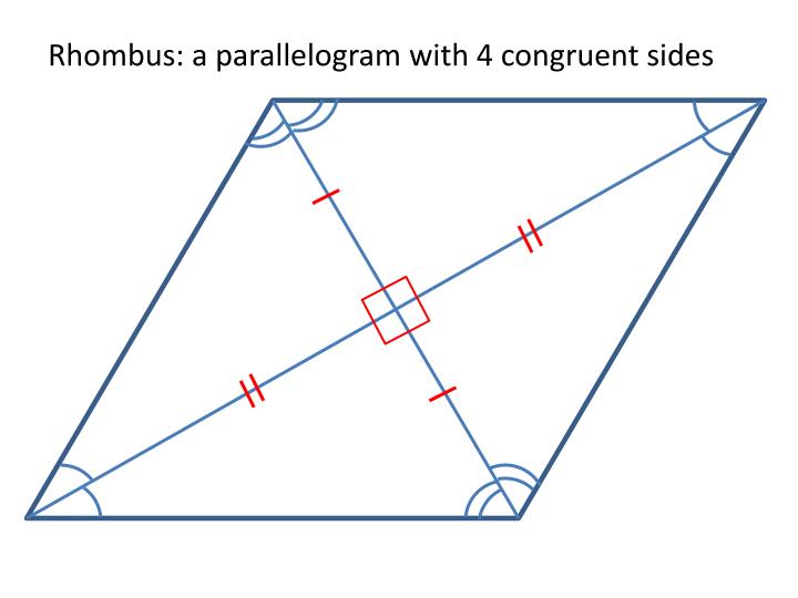 <p>one pair of congruent consecutive sides </p>
