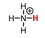 <p>Ammonium</p>