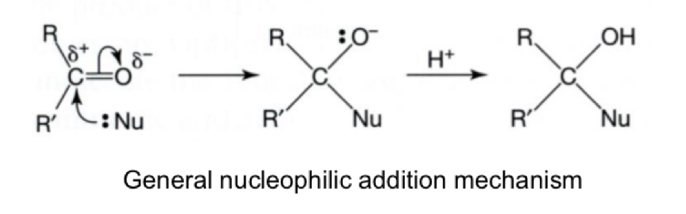 <ul><li><p>Due to the C=O bond</p></li><li><p>Nucleophilic addition reactions</p></li><li><p>The nucleophile attacks the delta positive carbon and an addition reactions occurs</p></li><li><p>The carbon-oxygen bond becomes single (and H+ adds from acidified solution/water? to form neutral compound)</p><p></p></li></ul>