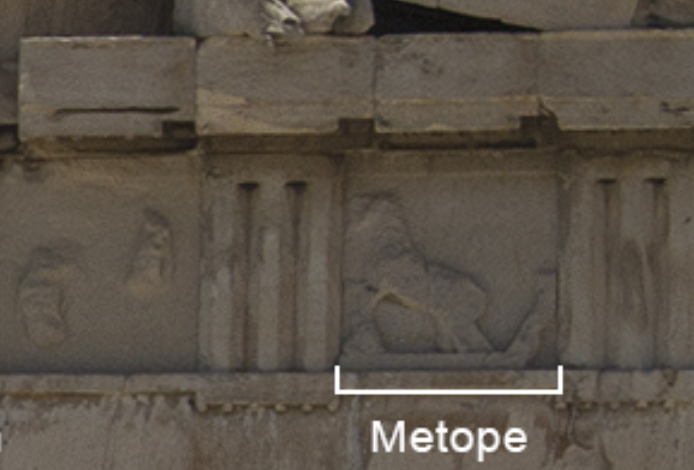 <p>metope </p>