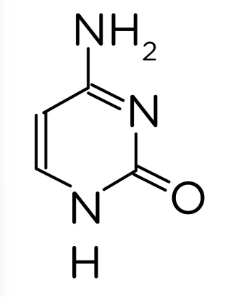 <p></p>