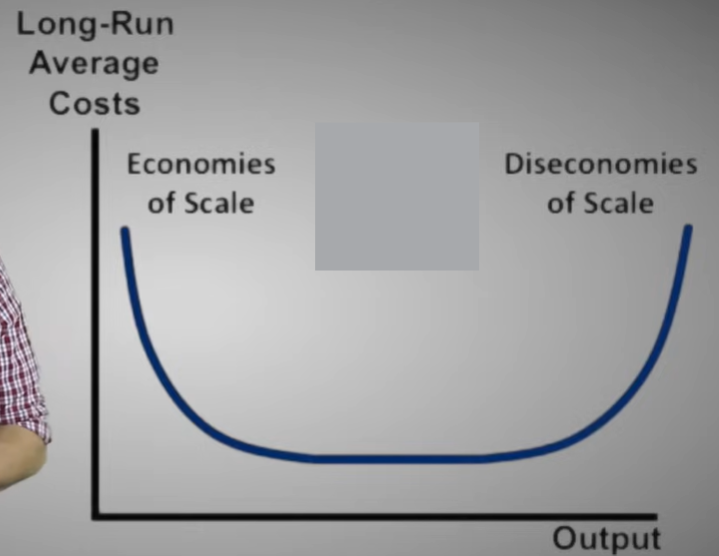 <p>Exist when a firm’s long-run average costs remain unchanged as it increases its scale of production and the quantity of output it produces.</p>