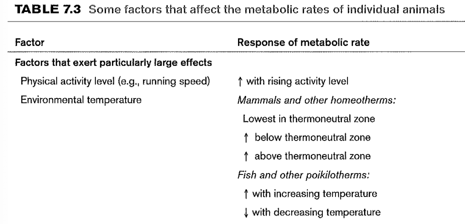 <ul><li><p>physical activity</p><ul><li><p>MR increase w/ rising activity levels</p></li></ul></li><li><p>environmental temperature </p><ul><li><p>mammals + homeotherms:</p><ul><li><p>MR increases when both above + below thermoneutral zone</p></li><li><p>MR lowest in thermoneutral zone </p></li></ul></li><li><p>fish + ectotherms:</p><ul><li><p>MR increase w/ increasing temp</p></li><li><p>MR decrease w/ decreasing temp</p></li></ul></li></ul></li></ul><p></p>