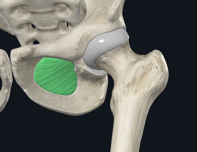 <p>What is highlighted</p>
