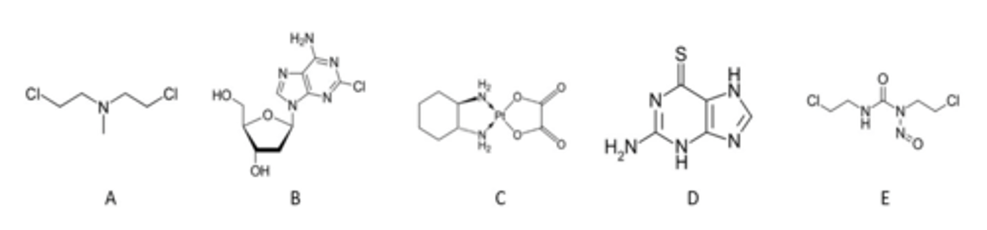 <p>Which are NOT DNA-cross-linking agents? (select all that apply)</p>