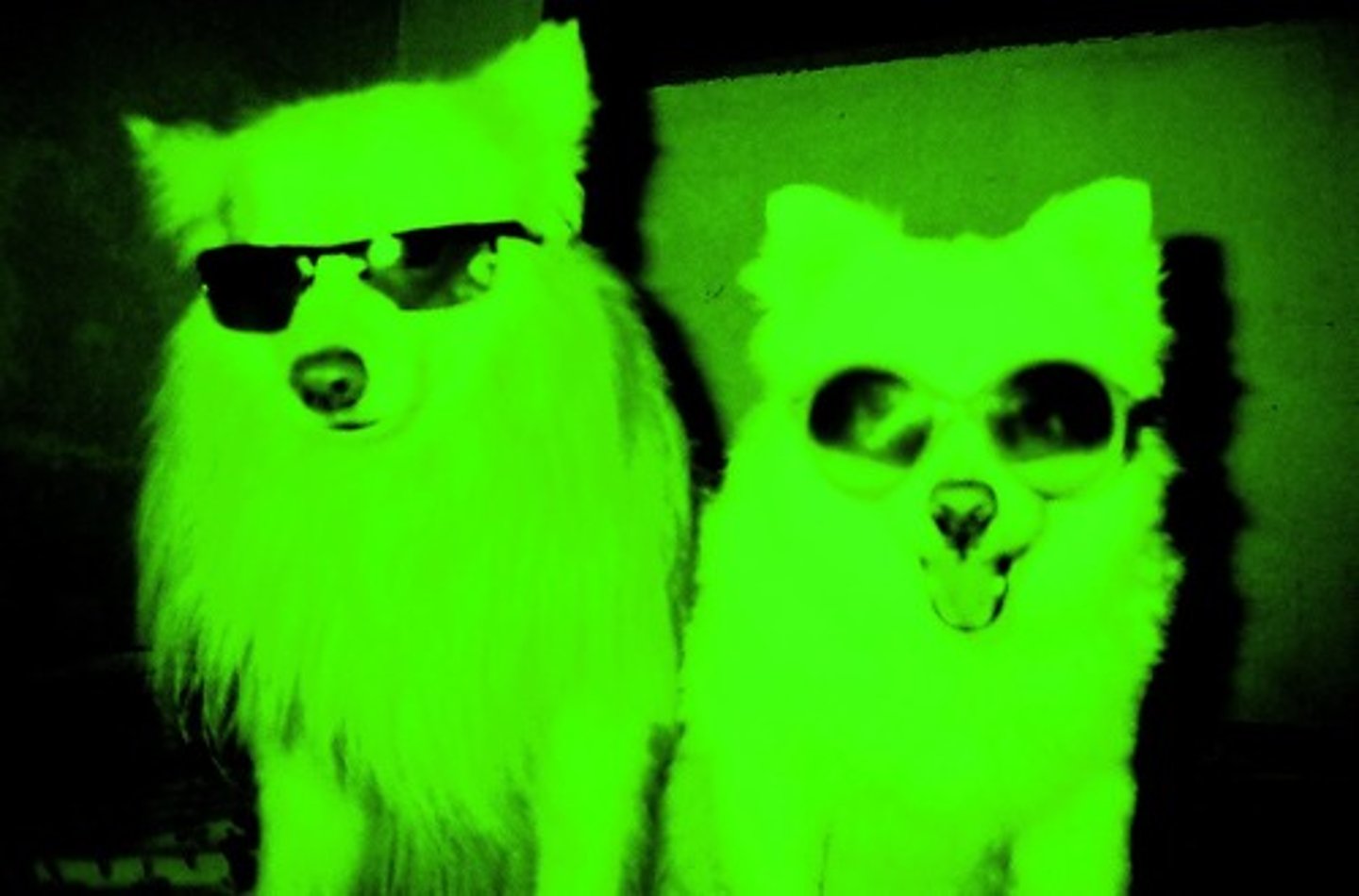 <p>How cool! (slang)</p>