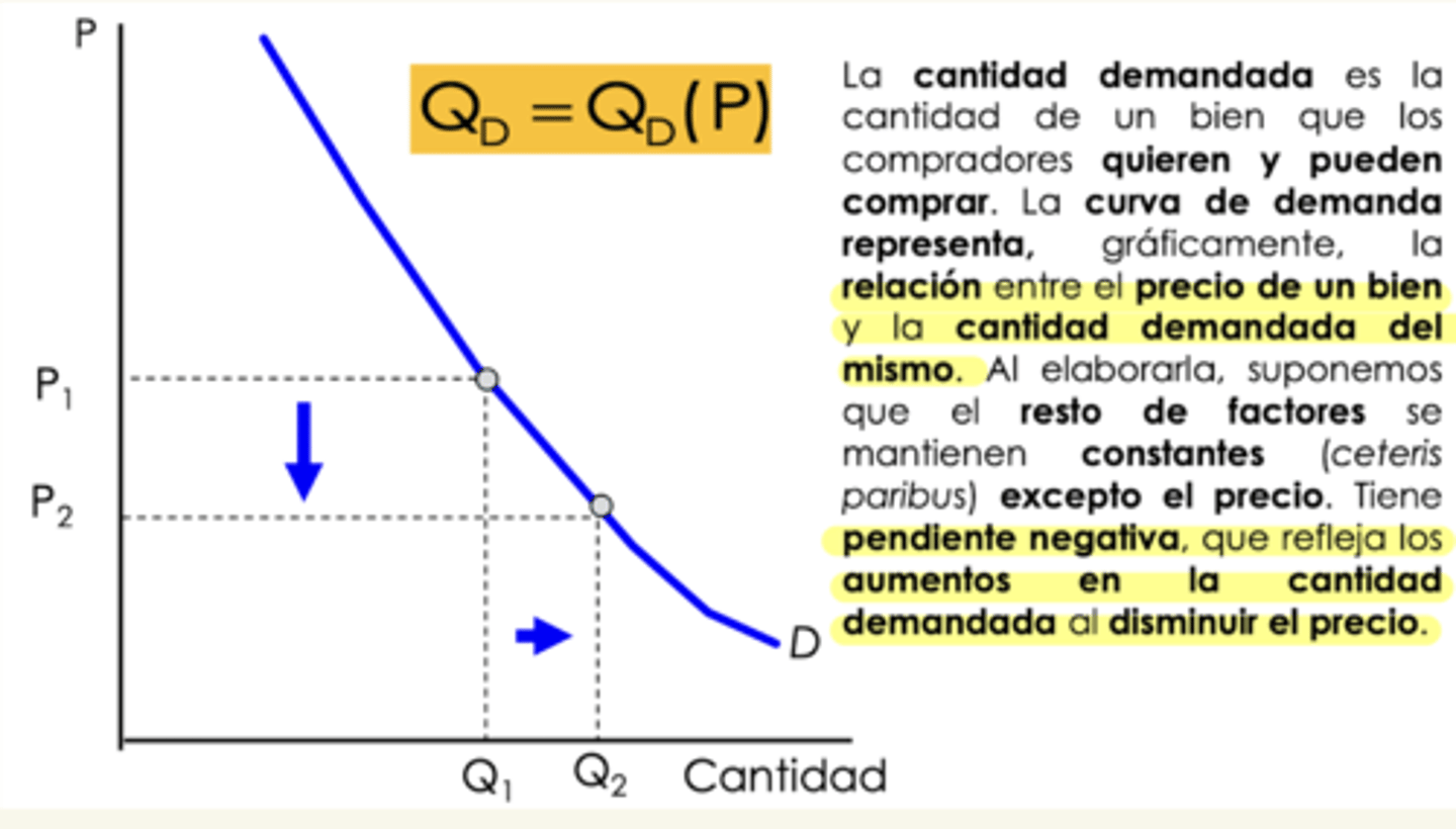 <p>aumenta</p>