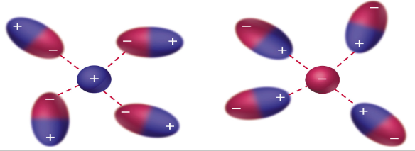 <p>interaction between an <em>ion</em> and a <em>dipole</em>; a neutral, <strong>polar molecule</strong> (ex: water); strongest of all intermolecular forces (solutions ONLY)</p>