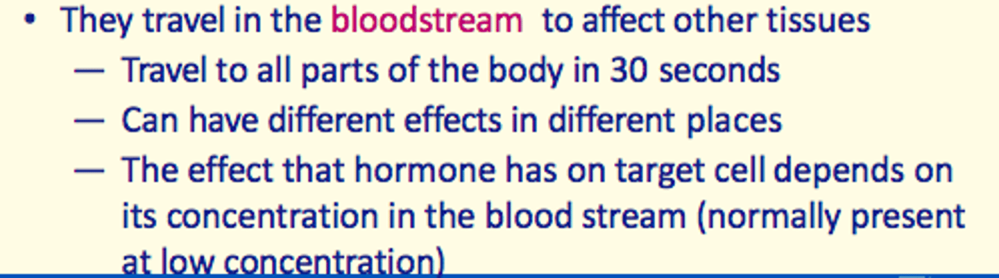 <p>bloodstream</p>