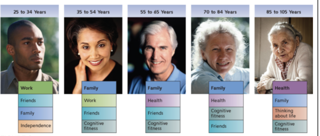 <ul><li><p>25 to 34 years: work, friends, family, independence</p></li><li><p>35 to 54 years: family, work, friends, cognitive fitness </p></li><li><p>55 to 65 years: family, health, friends, cognitive fitness</p></li><li><p>70 to 85 years: family, health, cognitive fitness, friends</p></li><li><p>85 to 100 years: health, family, thinking about life, cognitive fitness </p></li></ul><p></p>