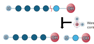 <p>Hydrolysis</p>
