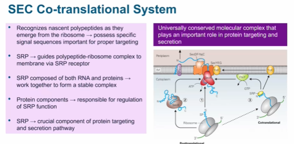 <p class="MsoNormal"><span style="font-family: "Times New Roman"; line-height: normal; font-size: 7pt;"><span> </span></span>Identify which secretion systems inject proteins/molecules directly inside the host cell.</p>