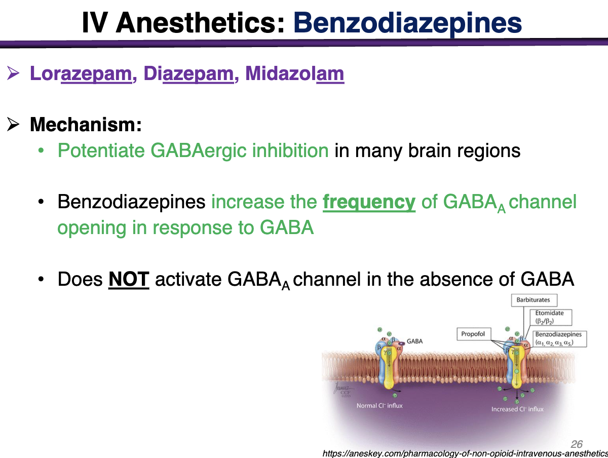 <p>FALSE; benzodiazepines <strong>require </strong>the prior binding of GABA to GABAa receptors </p>