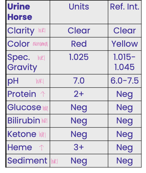<p>A 6-yr-old horse presented because it</p><p class="p1">passed red urine. Initial CBC results</p><p class="p1">revealed anemia (Hct 10 %) and</p><p class="p1">leukocytosis. The data indicate the</p><p class="p1">horse has</p>