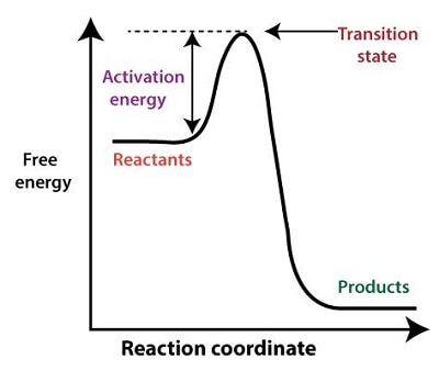 %%energy%% needed to change molecules into an unstable transition state %%so that “downhill “ can occur%%

* acts as a barrier