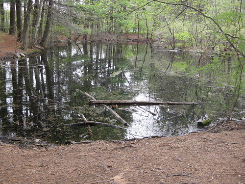 - Controls of population density from resources such as light or nutrients for plants and prey organisms for animal.
- If nutrient enrichment occurs through human activities such as fish farming, application of fertilizer on nearby fields or through sewage outflows into the sea, then bottom-up limiting factors are affected through the forming of algal blooms and eutrophication occurs.