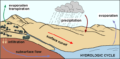 <p>Surface runoff</p>
