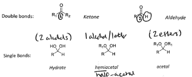 <p><span style="background-color: inherit;"><span>Oxygen can form two bonds, This means that for functional group level 2, it can either form a double bond to the carbon atom, or two oxygen atoms can each be singly bonded.</span></span></p>
