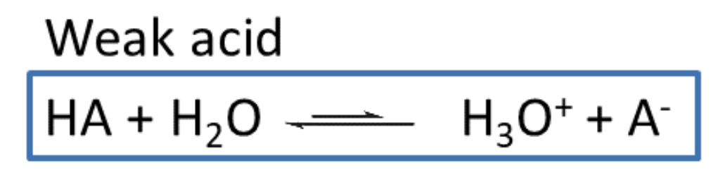 <ul><li><p>does not fully dissociate when dissolved in H2O (reversible reaction)</p></li><li><p>[H2O] considered constant, not included in equation</p></li></ul>