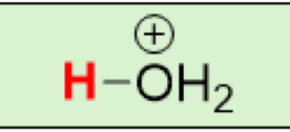 <p>pKa of <strong>H₃O⁺</strong></p><p>(Hydronium)</p>