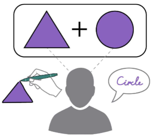 <p>P<span>atients (typically epileptic) who have had their corpus callosum severed, disconnecting the two hemispheres of the cortex; typically recover and show mostly normal cognitive function</span></p><ul><li><p><span><strong>Left hemisphere</strong>: language processing (stroke patients show coordination difficulties)</span></p></li><li><p><span><strong>Right hemisphere</strong>: spatial processing (stroke patients show language impairments)</span></p></li></ul><p></p>