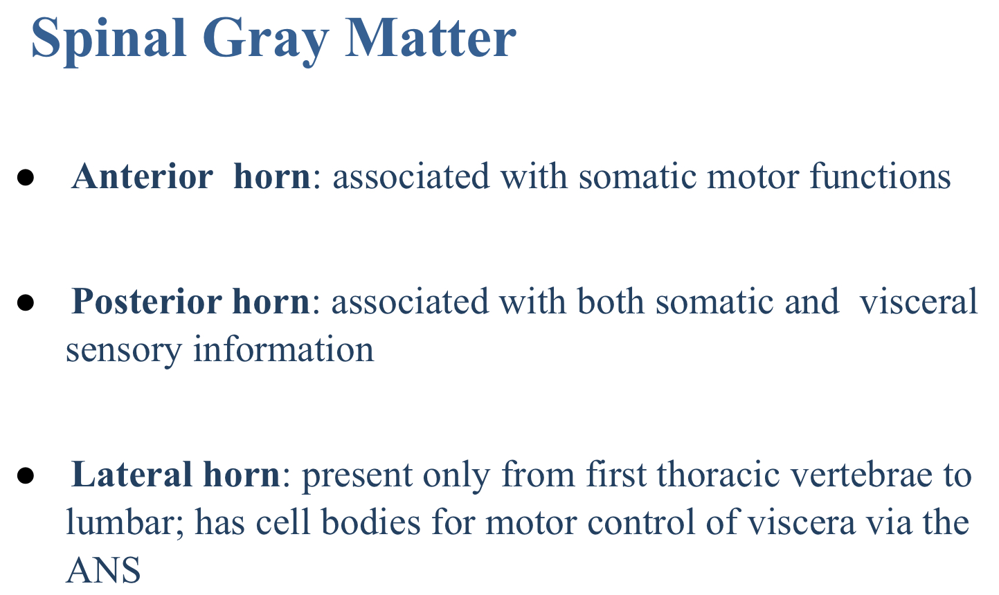 <p>Lateral gray horn</p>