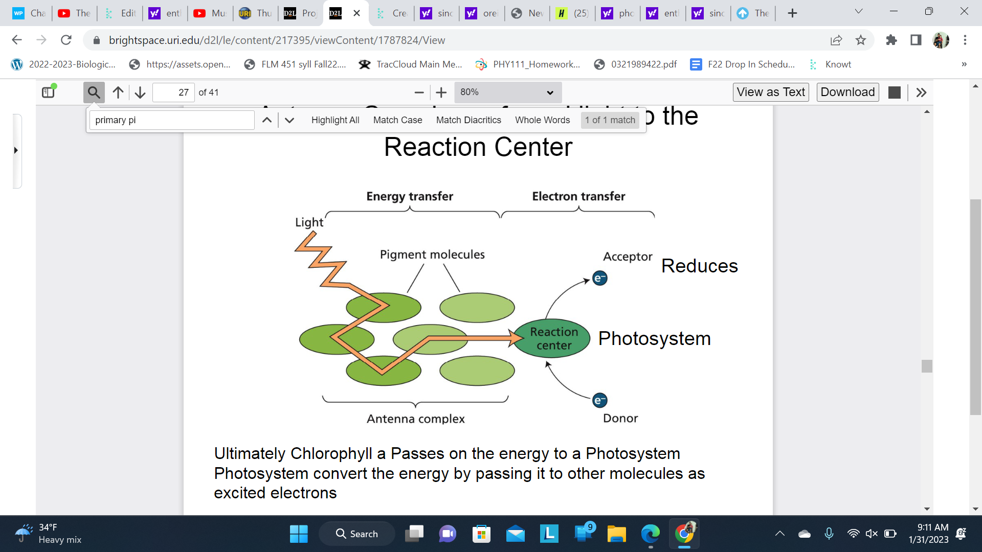 Ultimately Chlorophyll a Passes on the energy to a Photosystem 

\
Photosystem convert the energy by passing it to other molecules as excited electrons