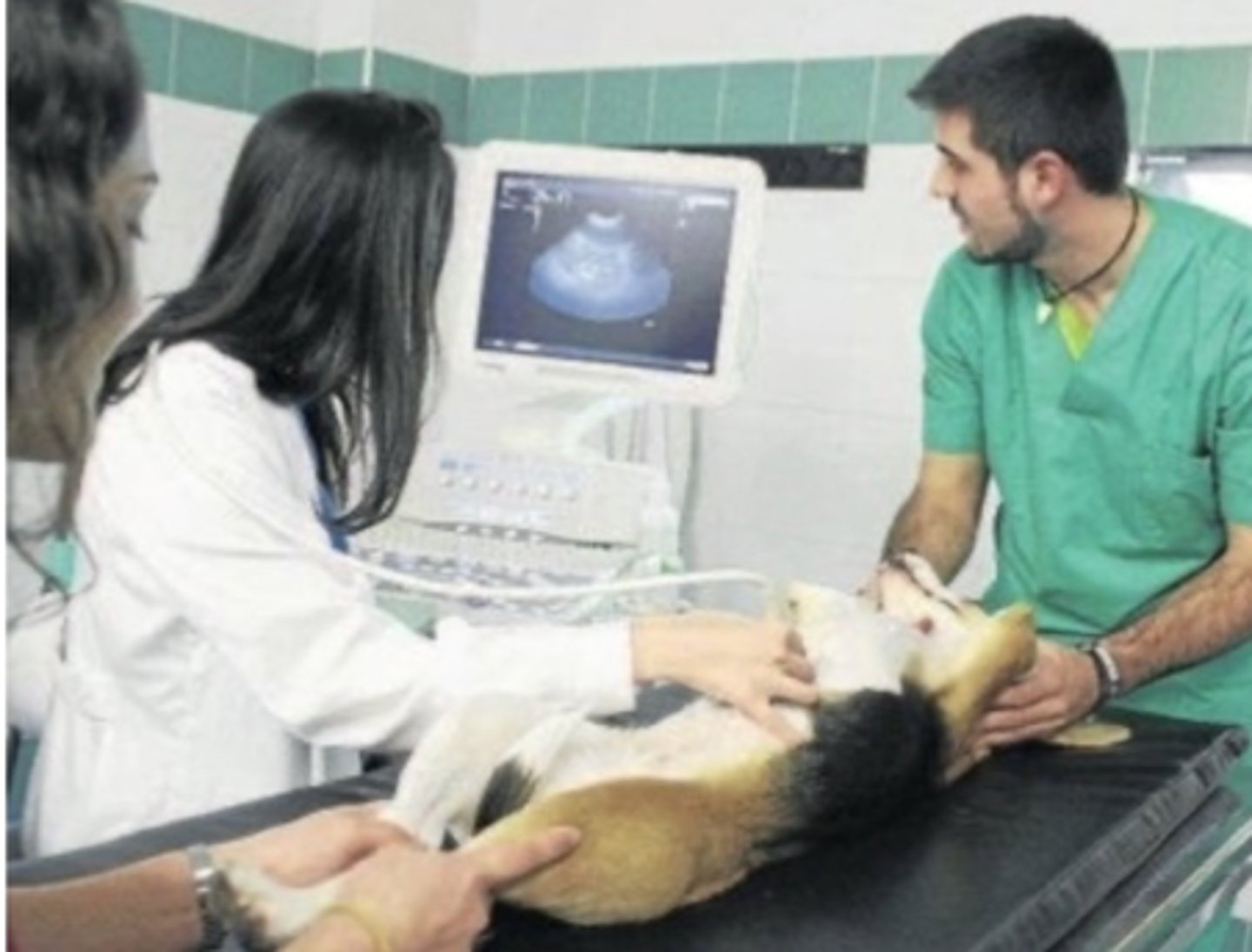 <p>what imaging technique is being used?</p>