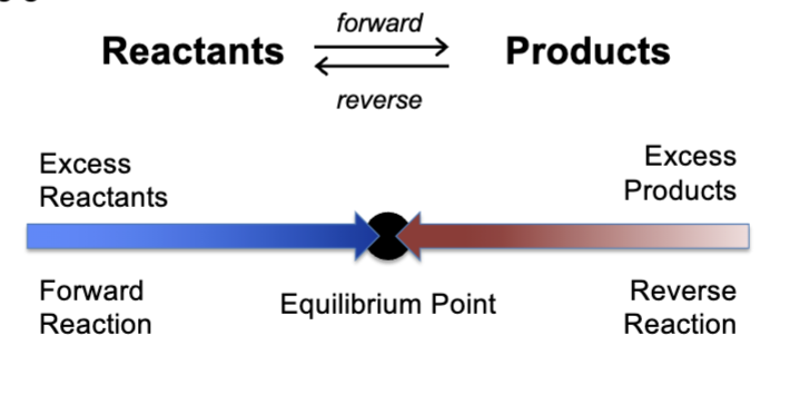 <p>reaction systems will _____ on their equilibrium </p>