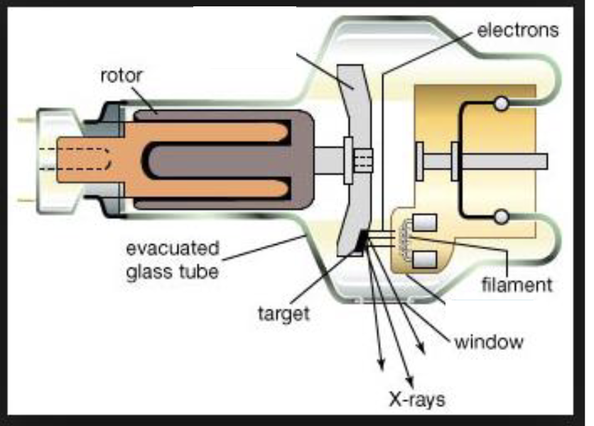 <p>Where is the anode &amp; cathode?</p>