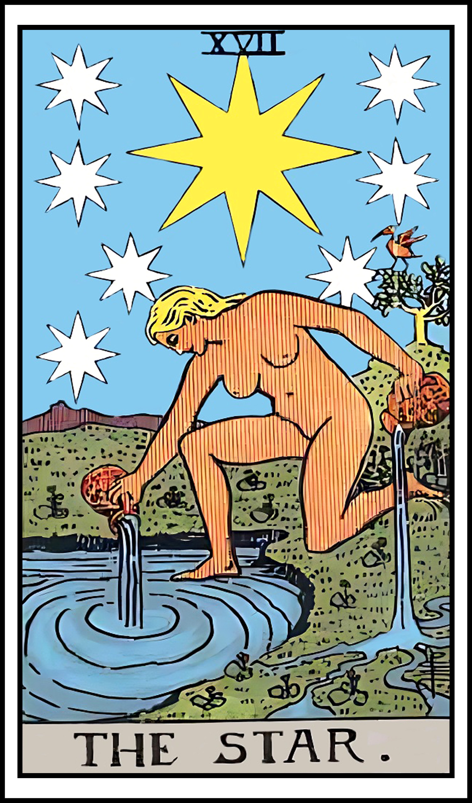 <p>the star</p>
