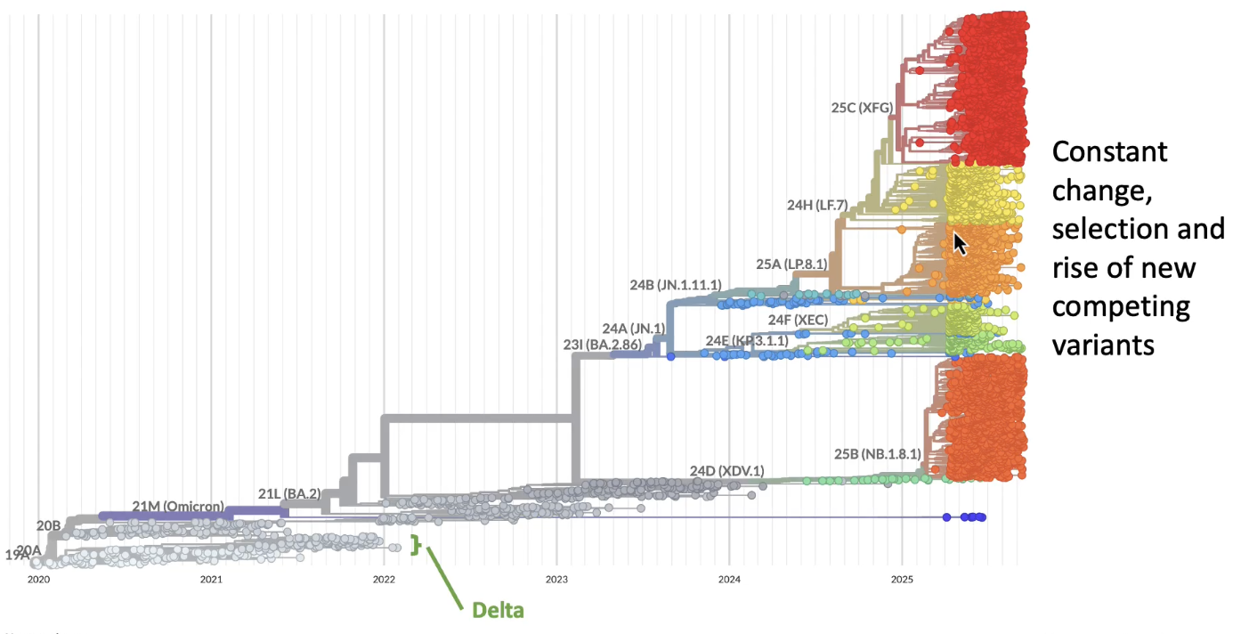 <p>it will always be outcompeted / changing</p>