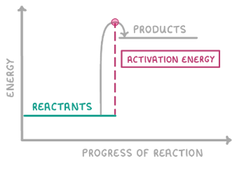 <p>Does the graph show an exothermic or endothermic reaction? Why?</p>