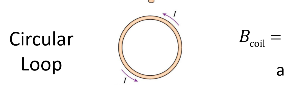 <p>Bcoil </p>