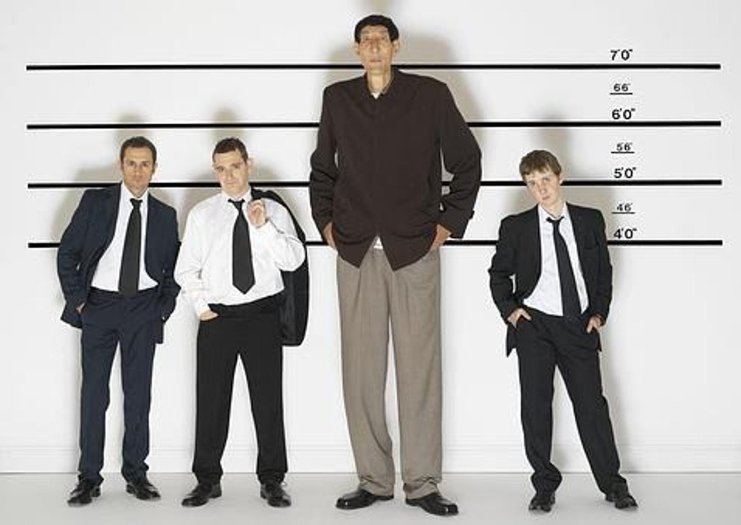 <p>height</p>