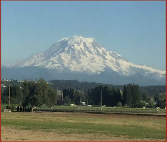 Eruptions are more dangerous and explosive but less frequent than shield volcanoes.

\
These volcanoes are common along the west coast from Alaska to Northern California 
